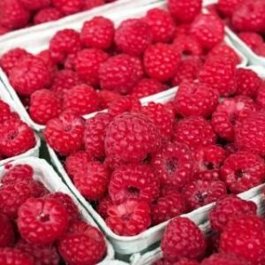 Fresh-Picked Raspberries