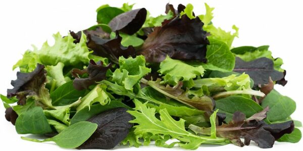 Organic Mixed Salad Greens